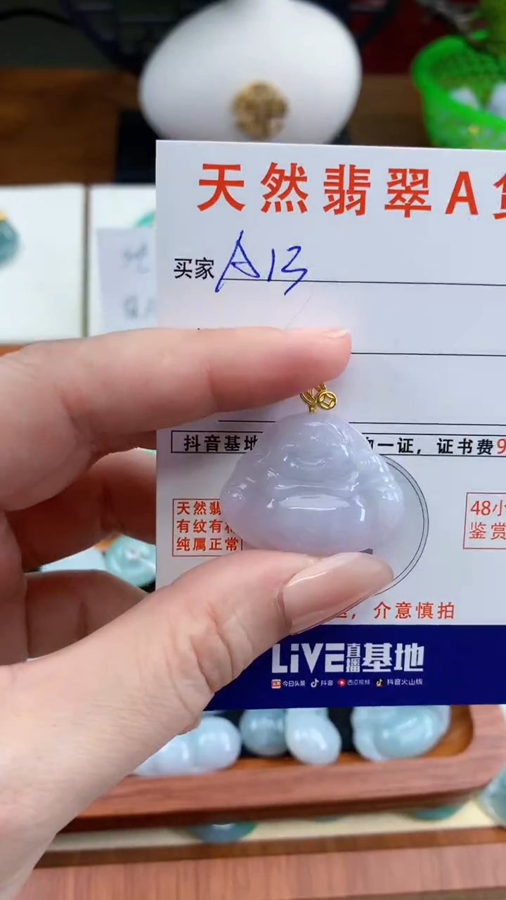 颈饰未镶嵌翡翠天然A货翡翠挂件