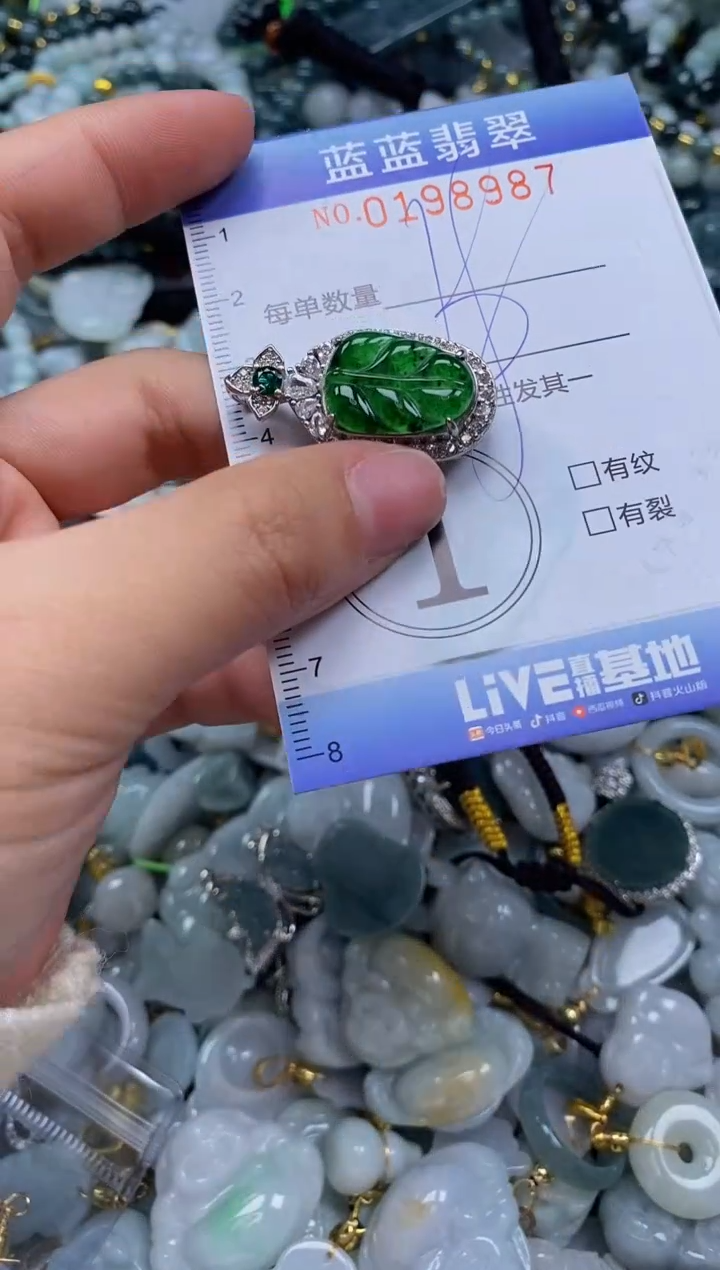 翡翠未镶嵌颈饰闪购0198987