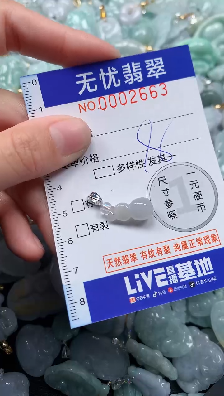 颈饰未镶嵌翡翠2663