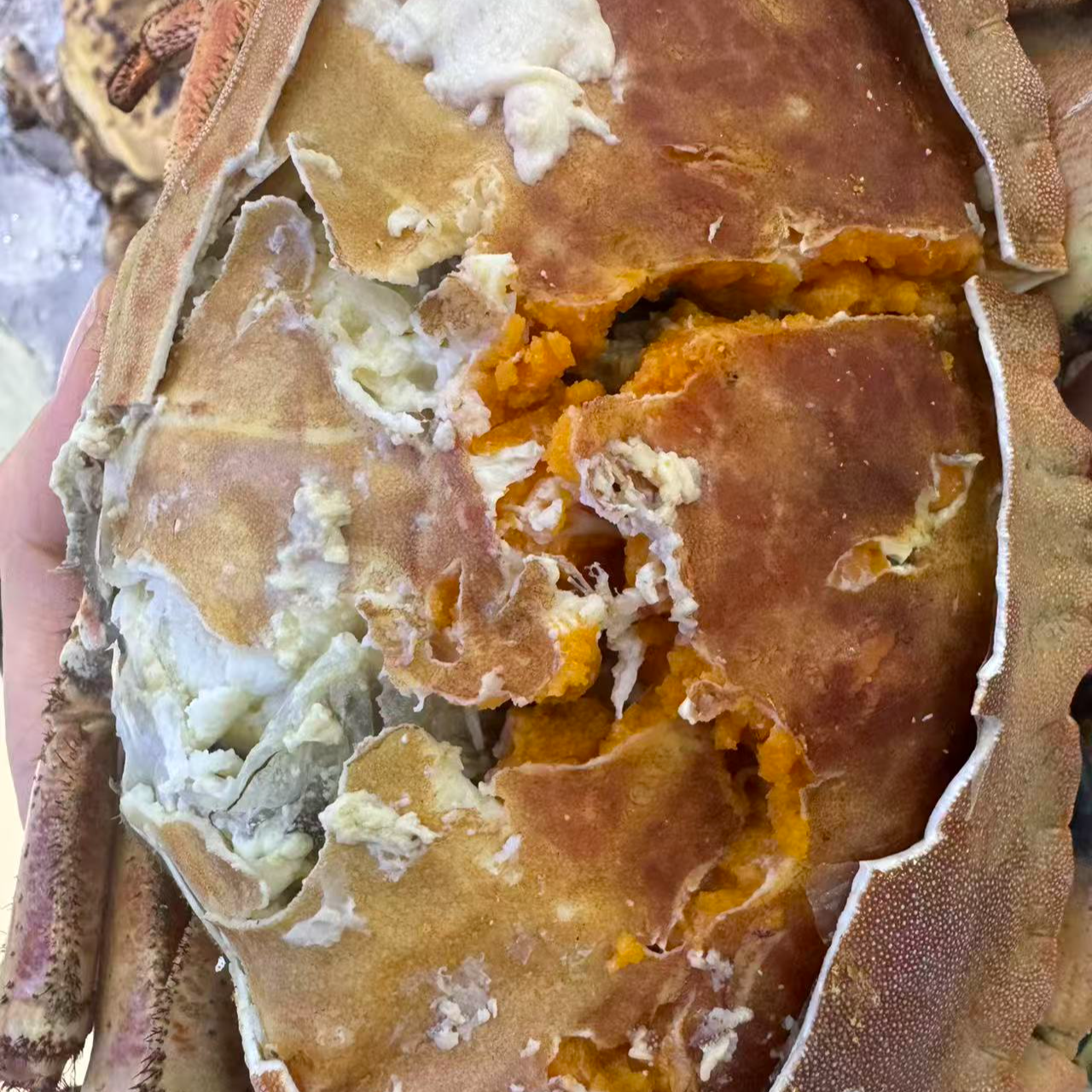 面包蟹嘎嘎好嘎嘎香