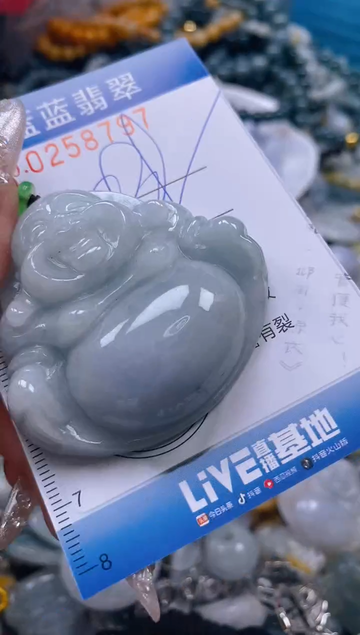 翡翠未镶嵌颈饰闪购0258797