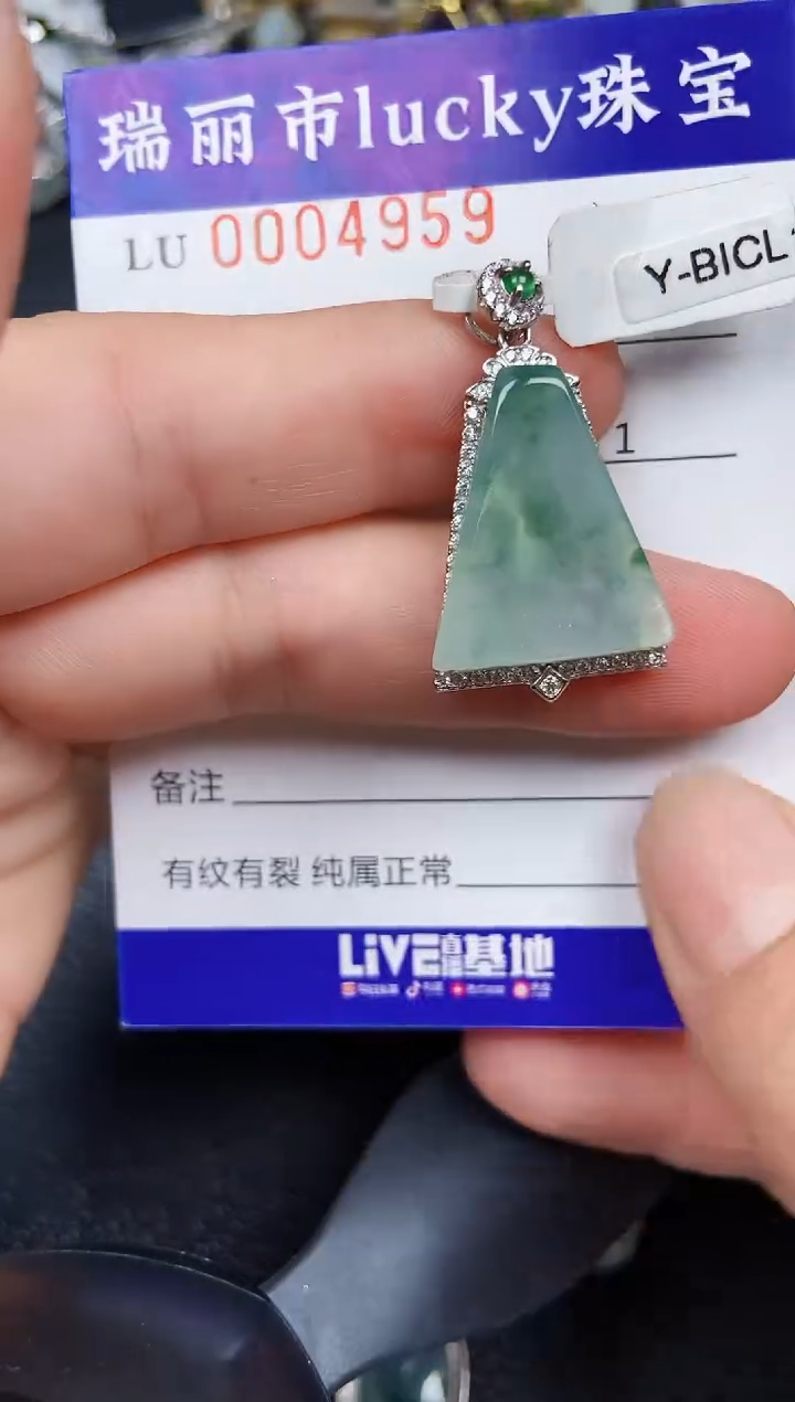 翡翠银S925镶嵌颈饰4959