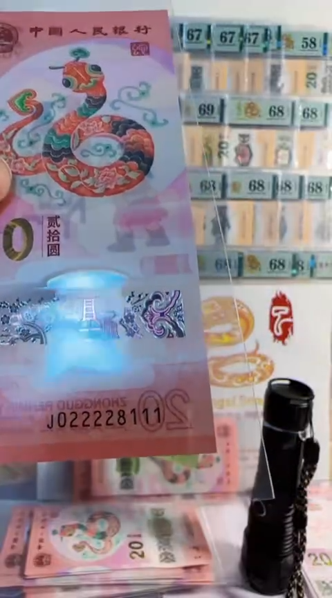 【闪购商品】九蛇令J022228111 包68