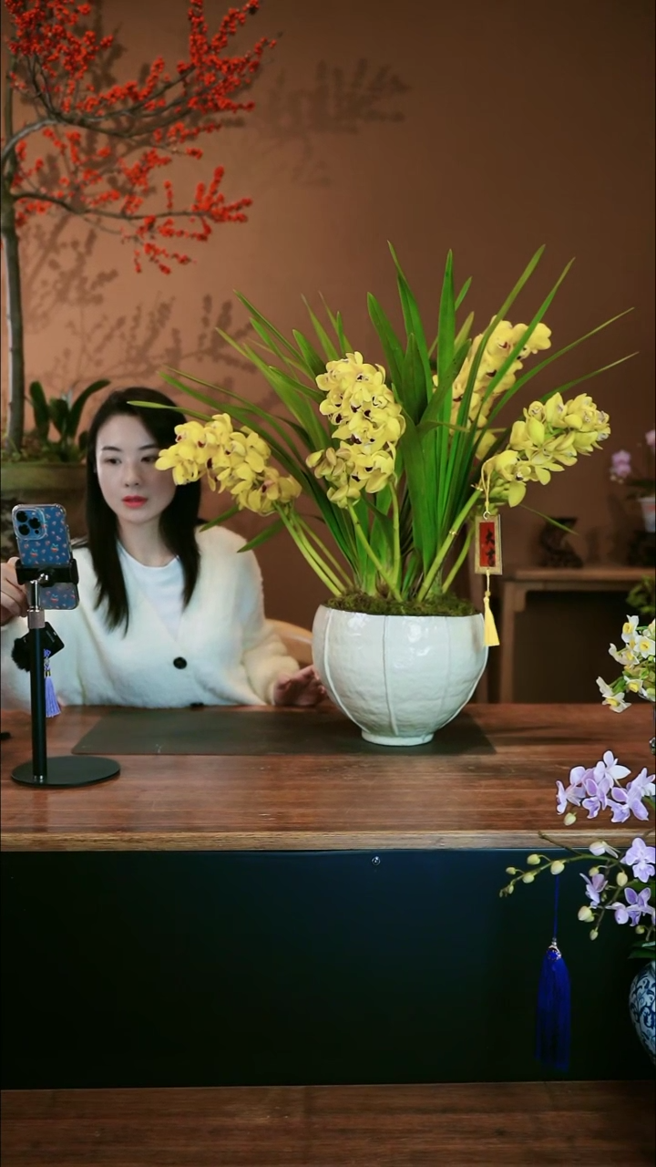 【闪购商品】盆景金玉满堂