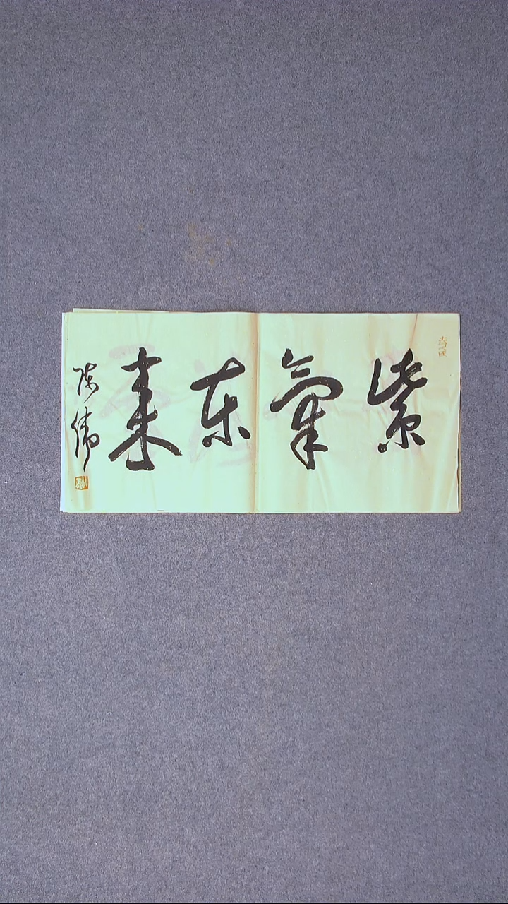 书法陈伟  湖北草书委员69*35尺寸