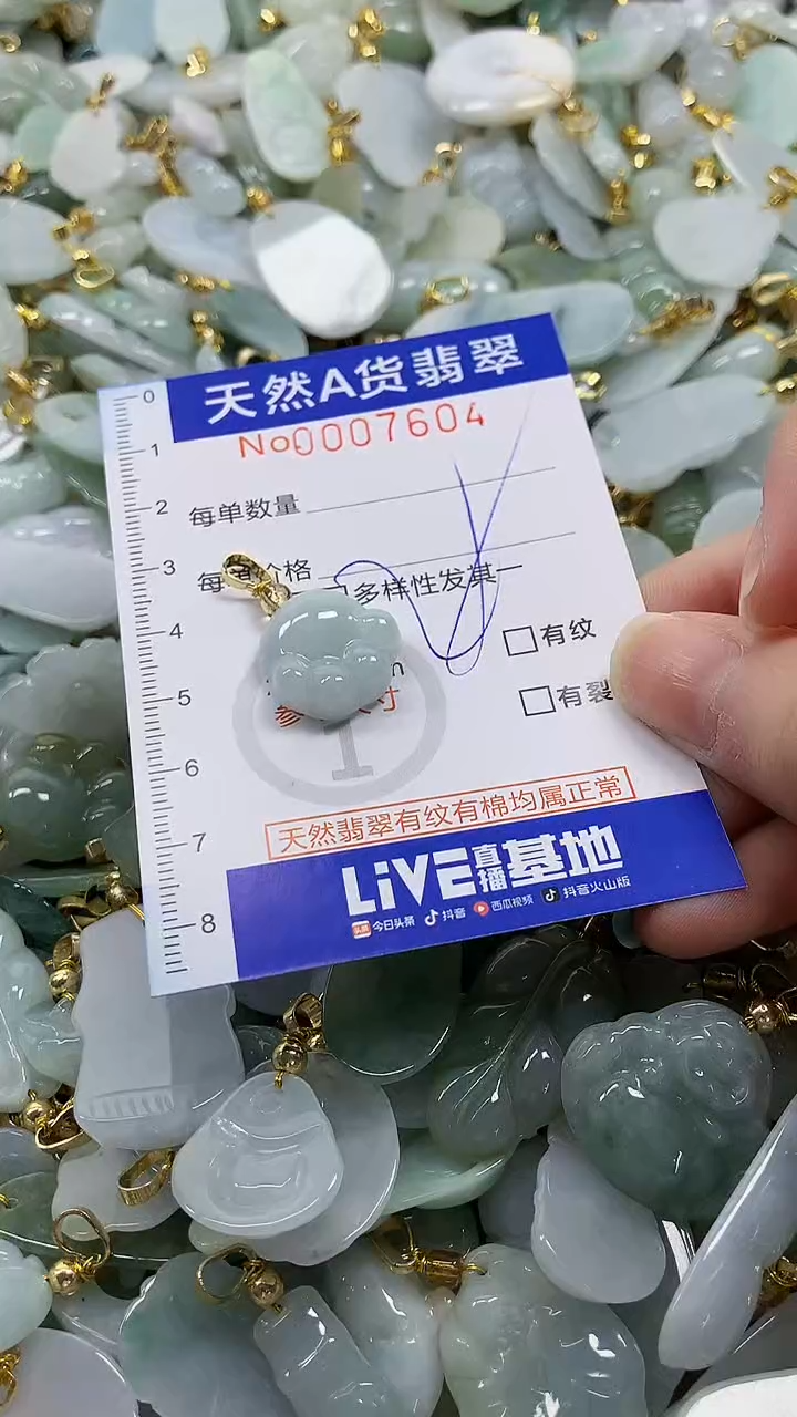 颈饰未镶嵌翡翠纯天然a货翡翠