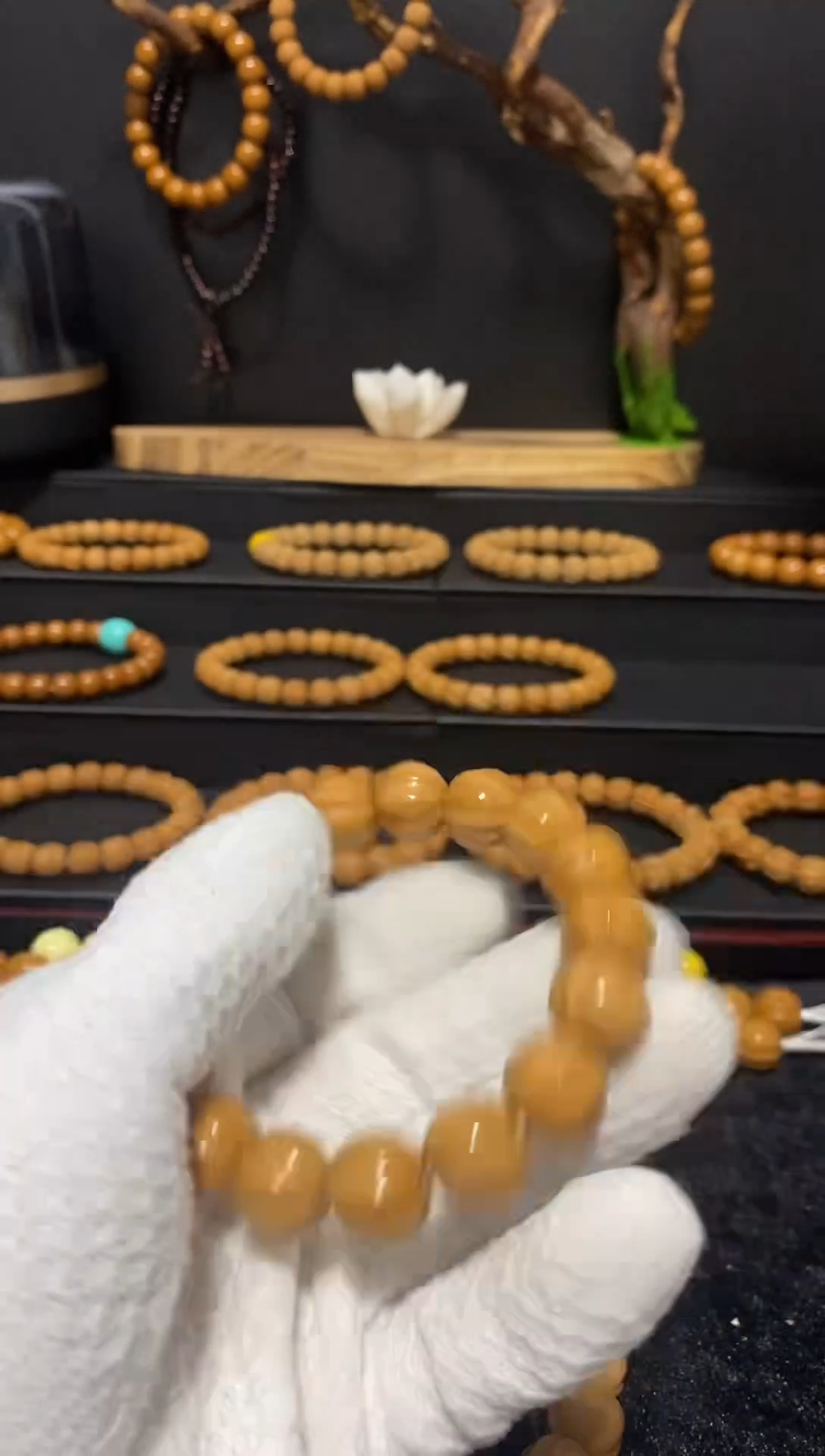 手串猴头核桃全品鲨鱼背