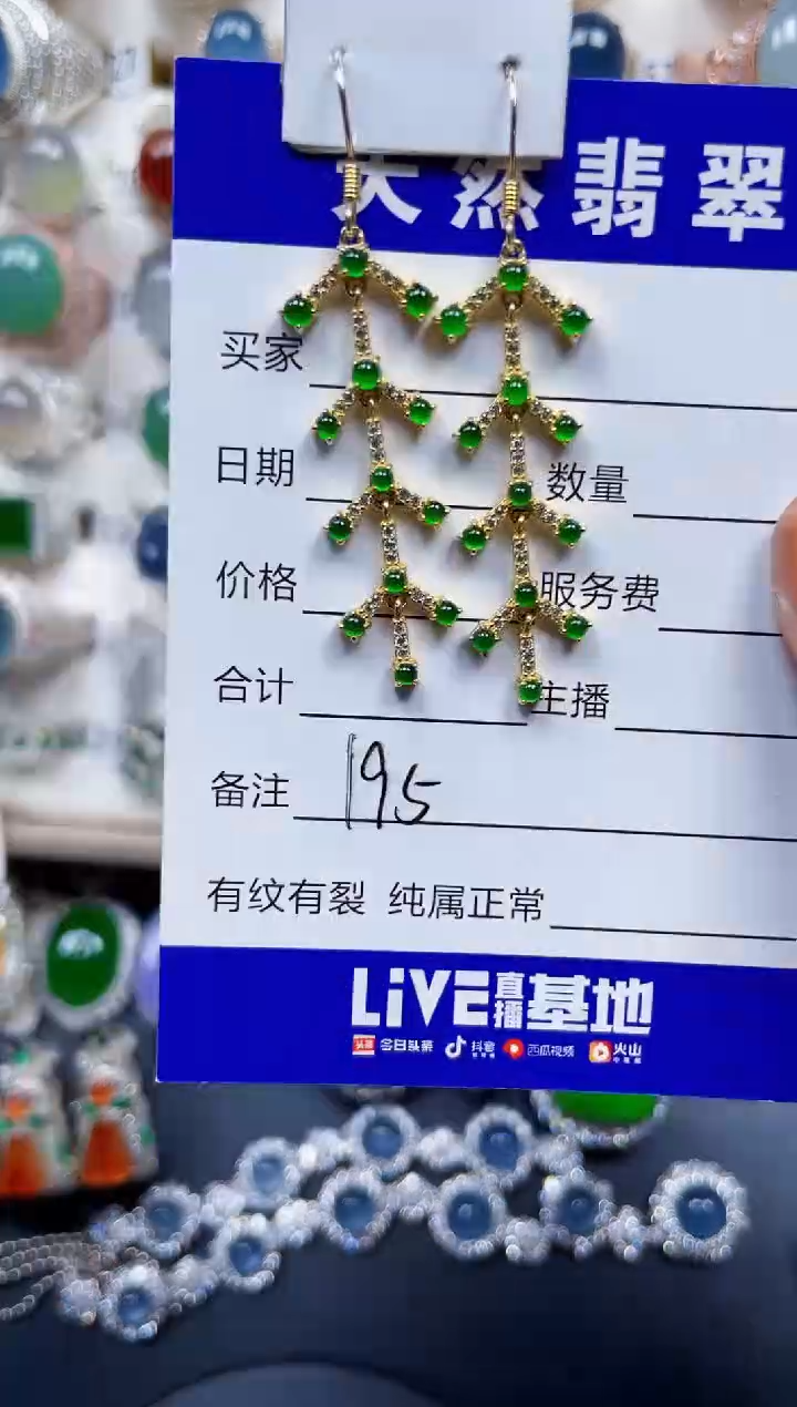 银S925镶嵌翡翠耳饰195