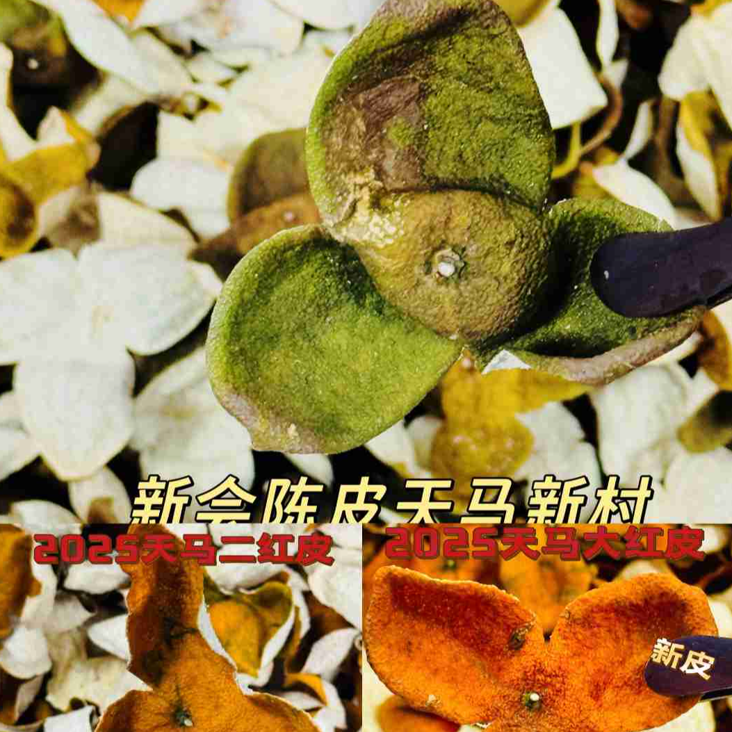 2025天马圈枝新皮 1份7片体验装