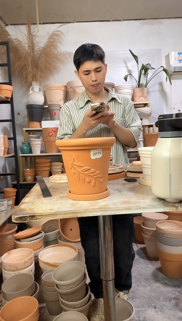 20*18红陶橄榄枝 1盆1托