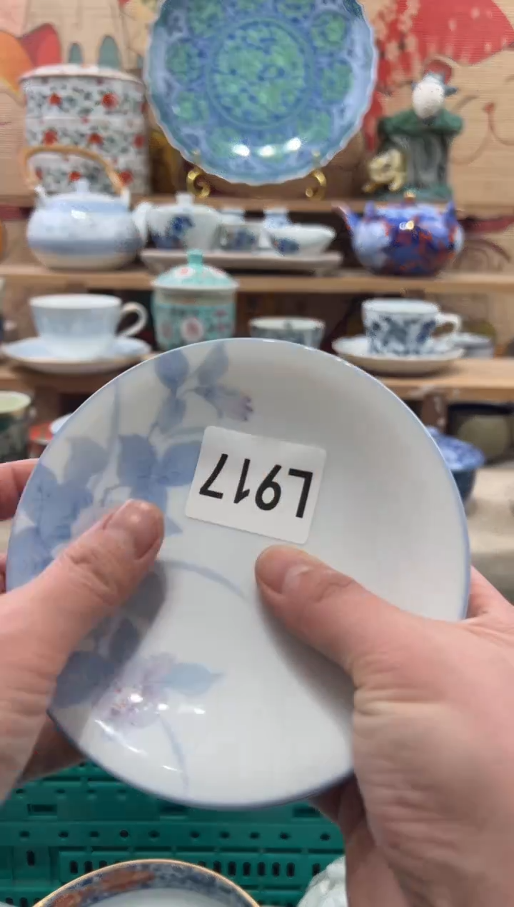 瓷片村****园瓷片------L917