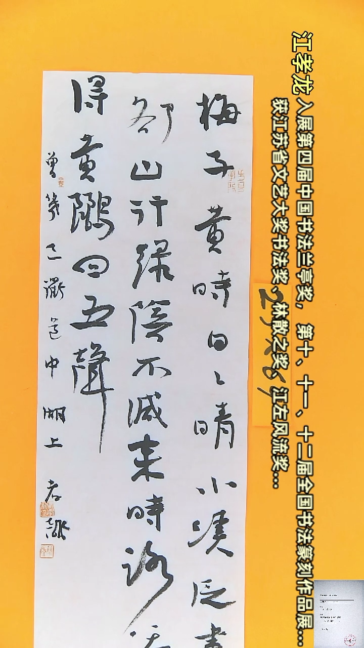 【闪购商品】书法江孝龙书法作品梅子黄时日日晴23*69