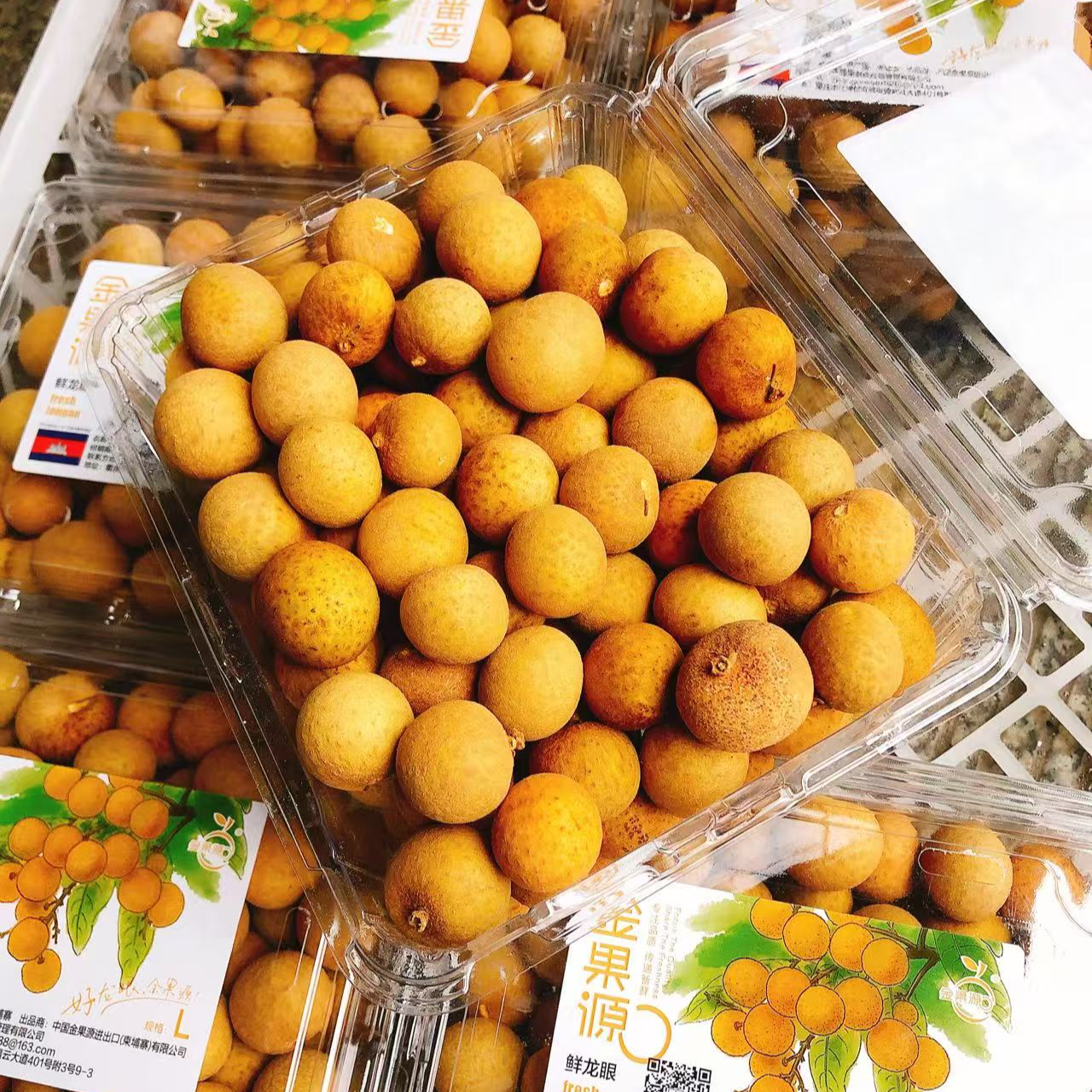 金果源龙眼（一盒）