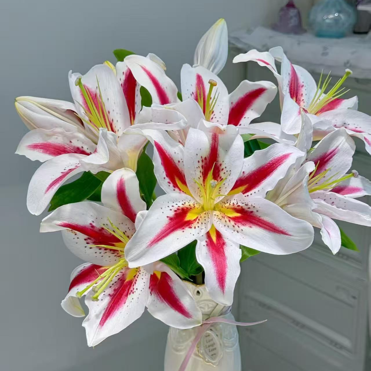 笑脸 单瓣百合--花色独特