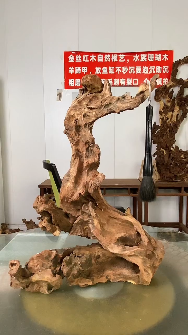 木月*姐金丝红木 羊蹄甲