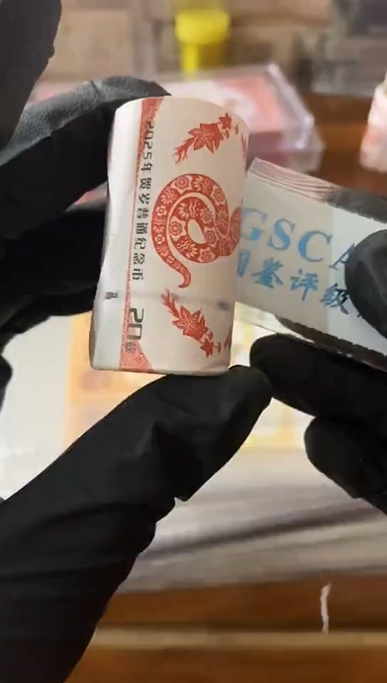 【闪购商品】蛇币卷............