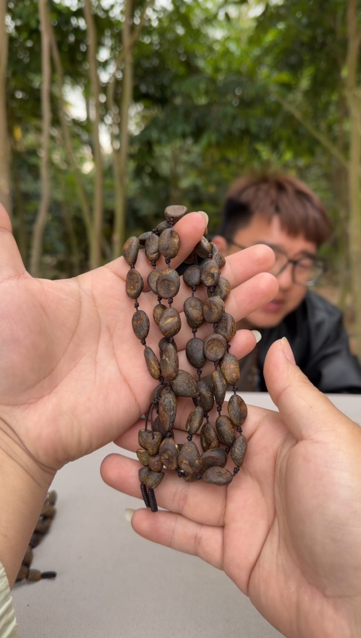 【闪购商品】沉香沉香碎屑蓝宝石沉水树丁多圈