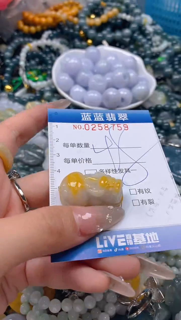 翡翠未镶嵌颈饰闪购0258759