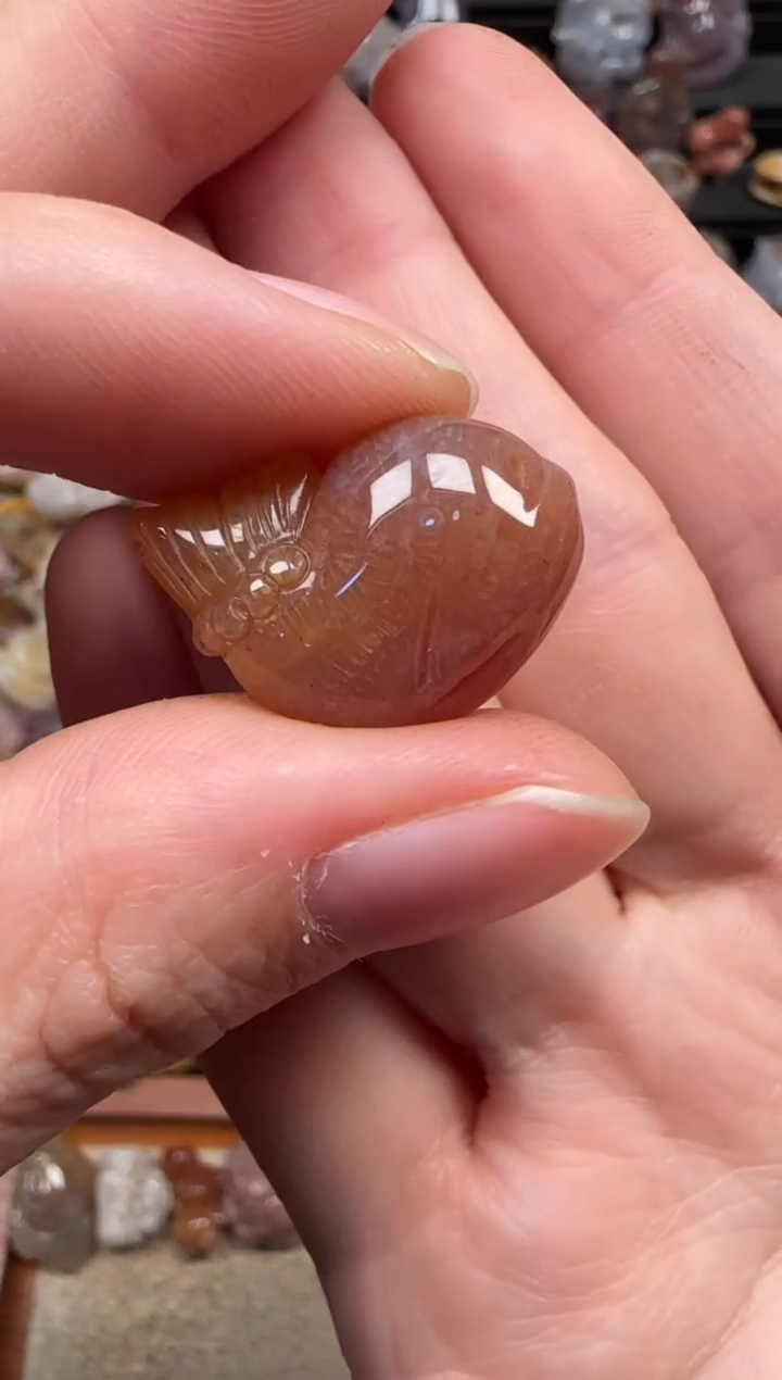 颈饰未镶嵌硅化珊瑚（珊瑚玉）173