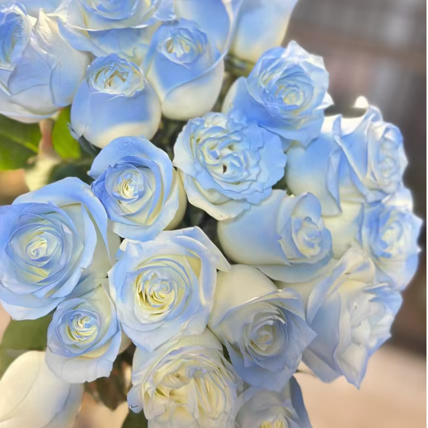 碎冰蓝玫瑰【收到花一定要醒花，不会的请联系客服】