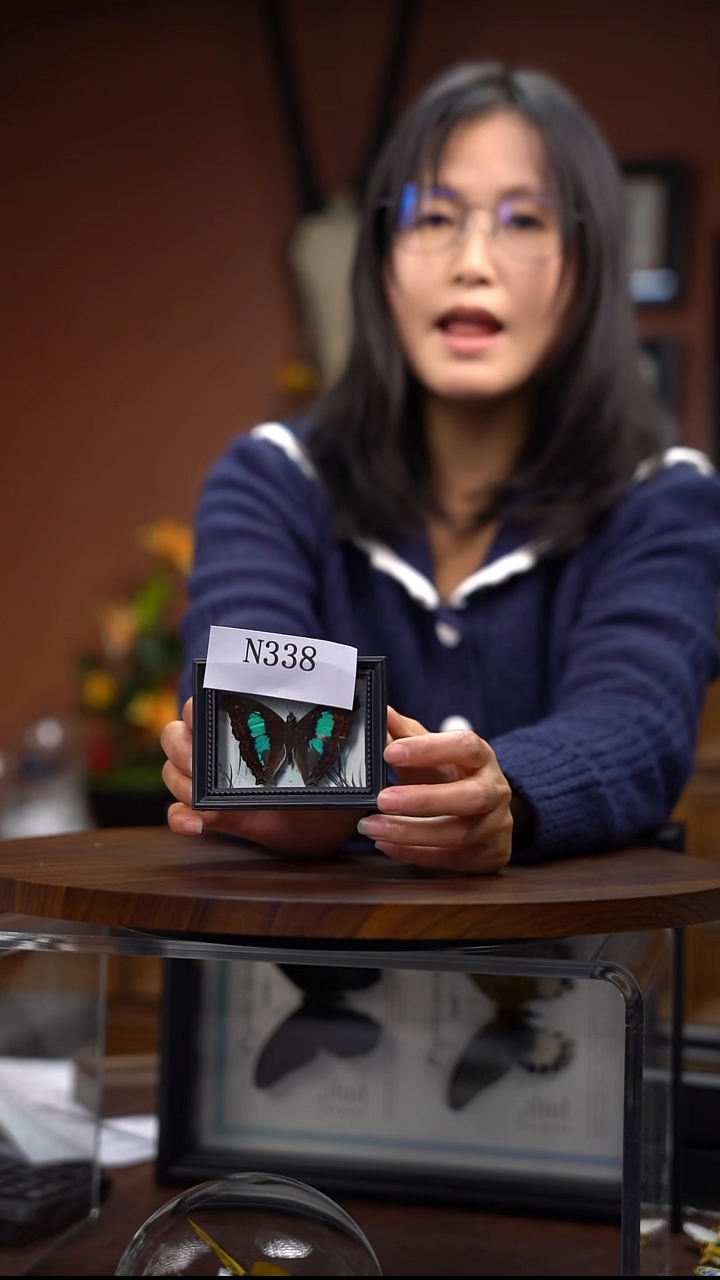 N338  蓝带荣冰箱贴