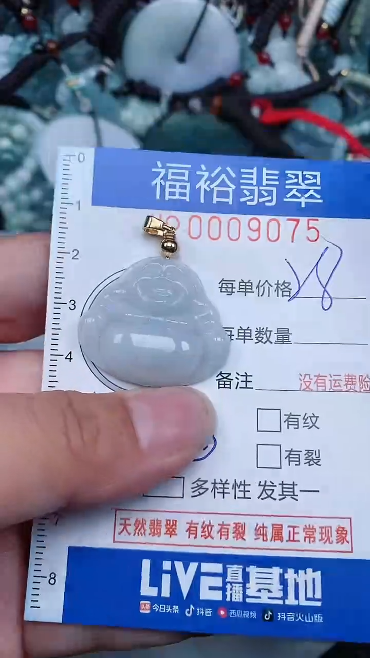 【闪购商品】翡翠颈饰未镶嵌...0009075