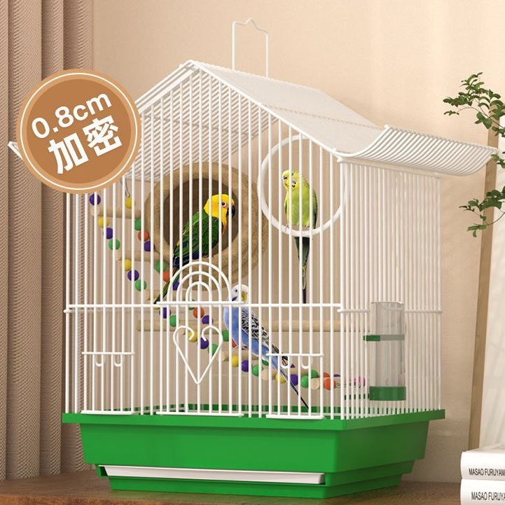 鹦鹉专用鸟笼新手必备大礼包A