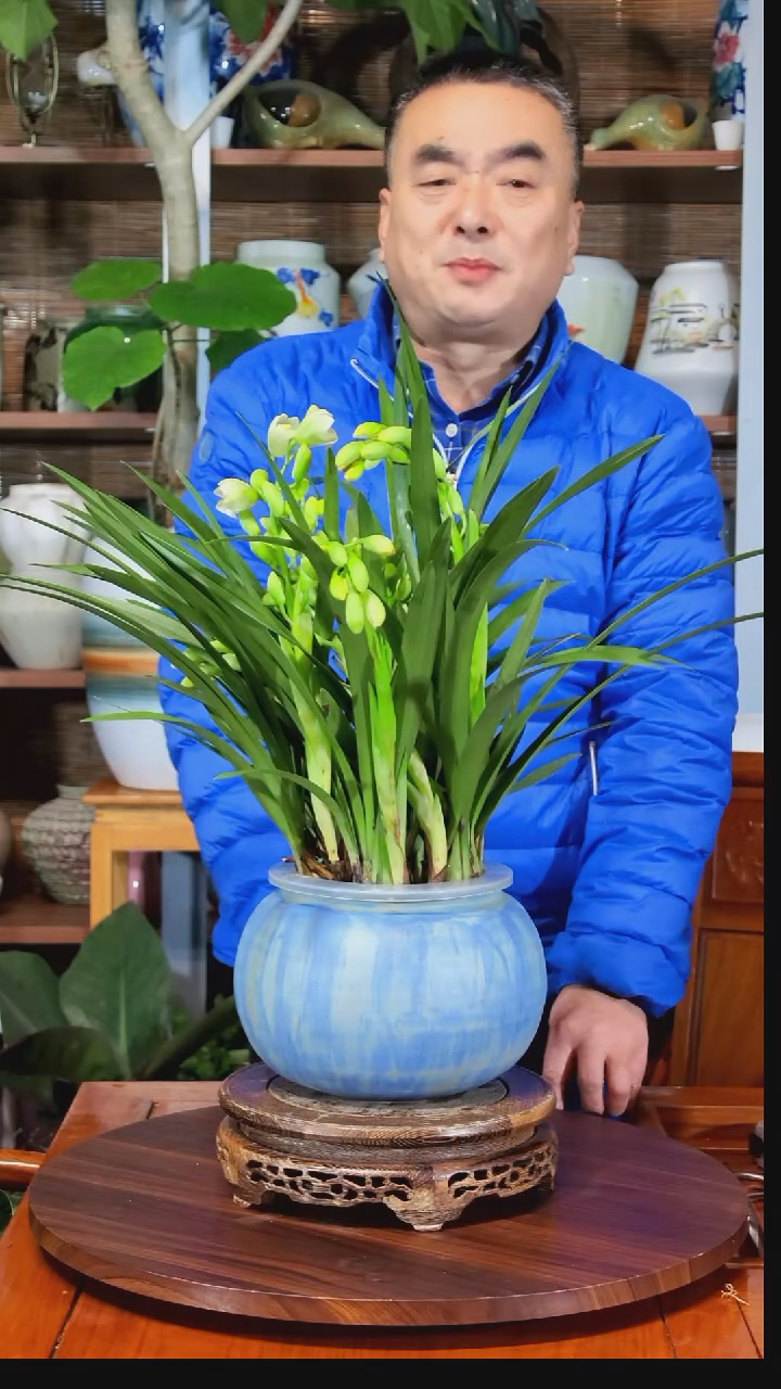无花朵罗*水之韵水培白玉香兰