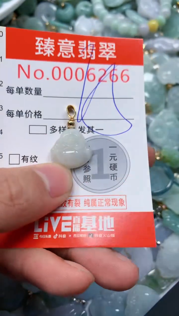 翡翠未镶嵌吊坠(不含链)6266