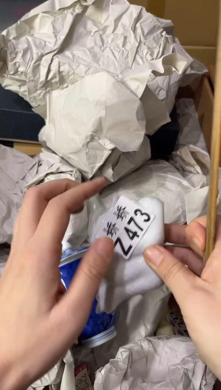 瓷片草**?473 定向 草莓佳