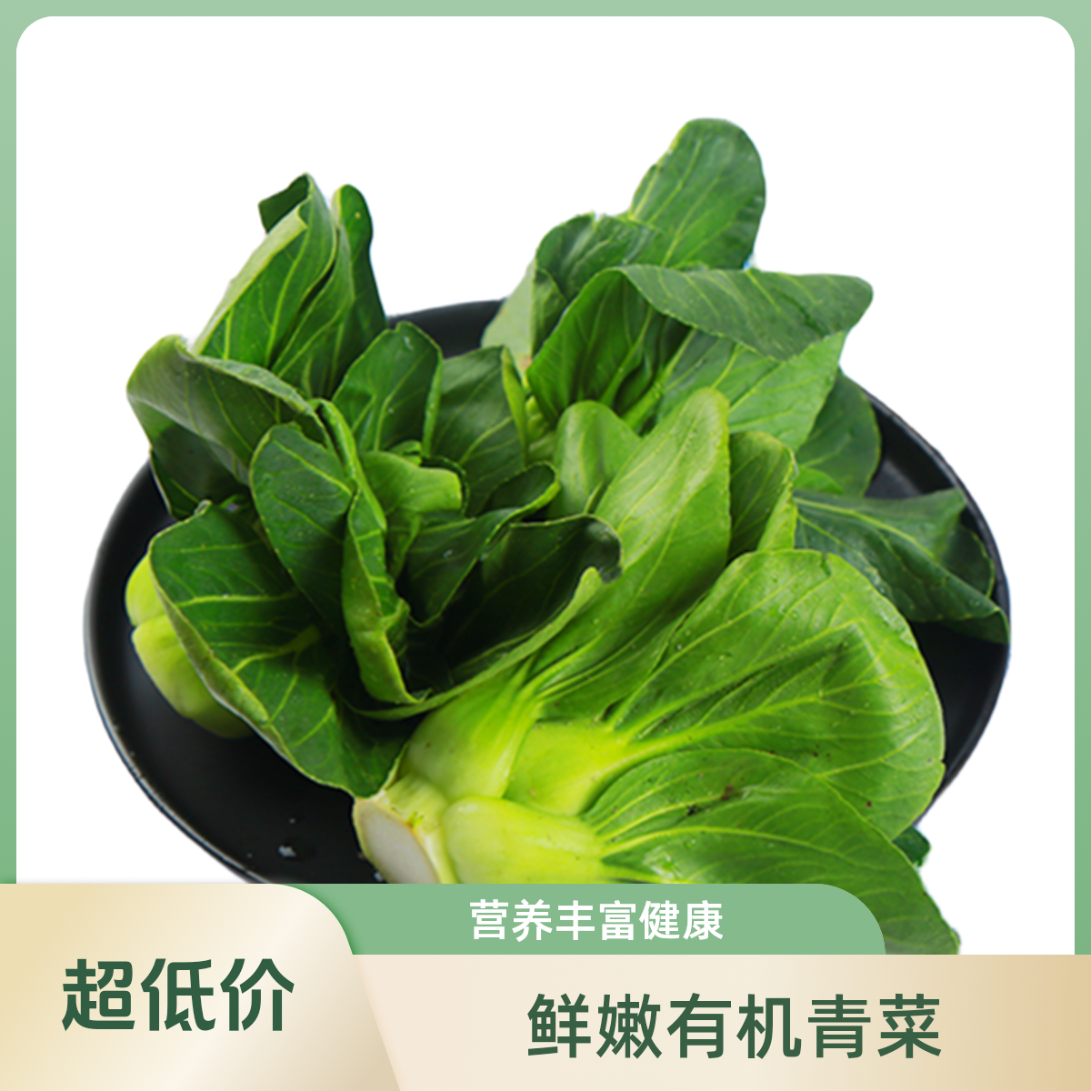 本地青菜500g上海青