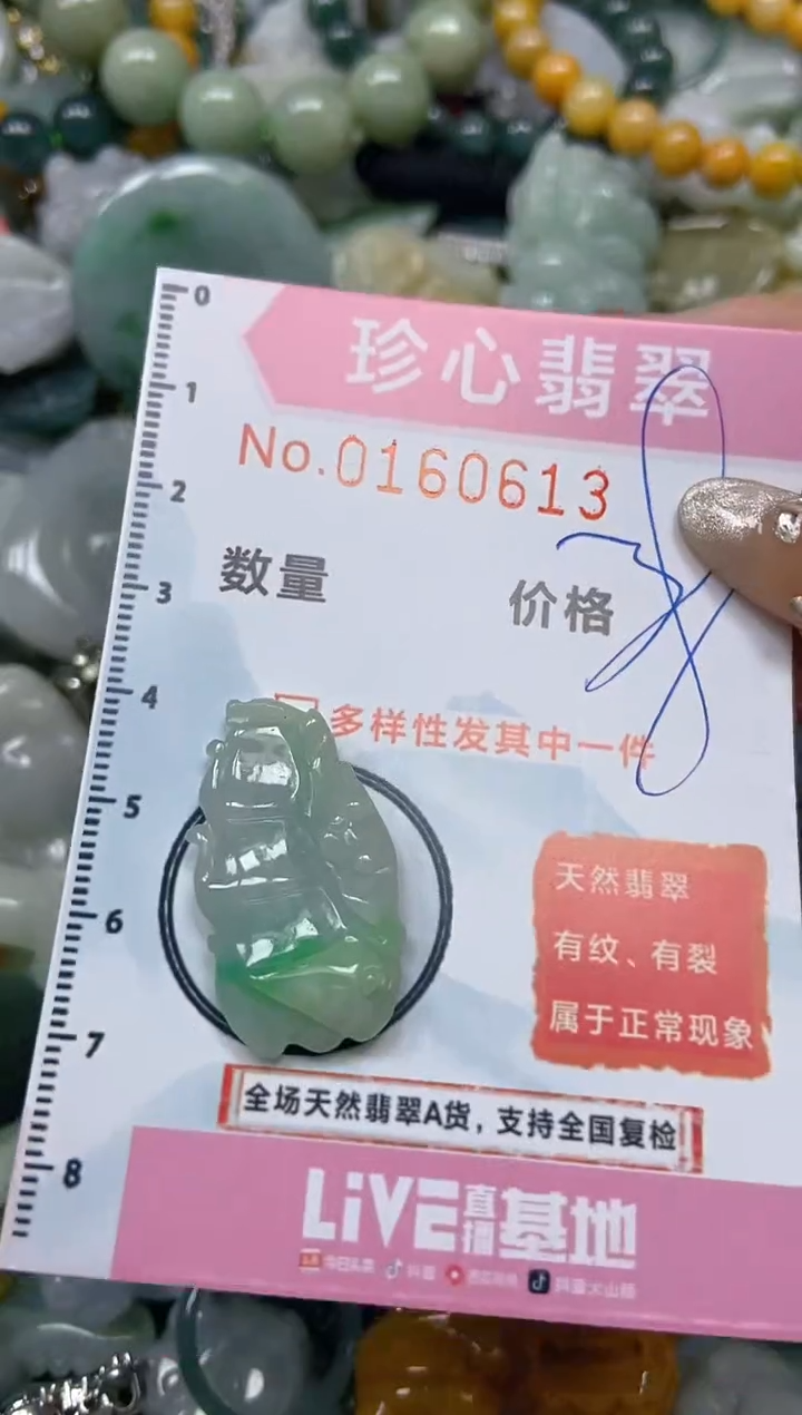 【闪购商品】翡翠颈饰未镶嵌闪购0160613