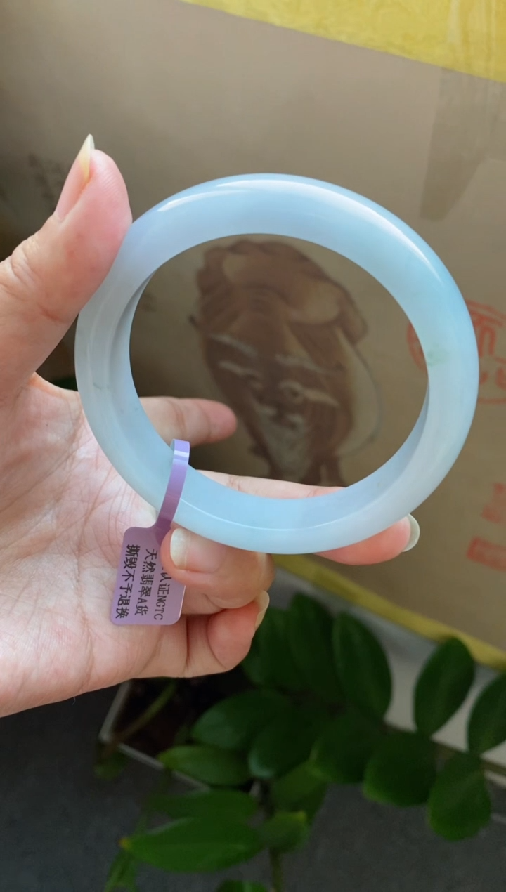 【闪购商品】翡翠手镯未镶嵌（冰胶蓝紫）25号