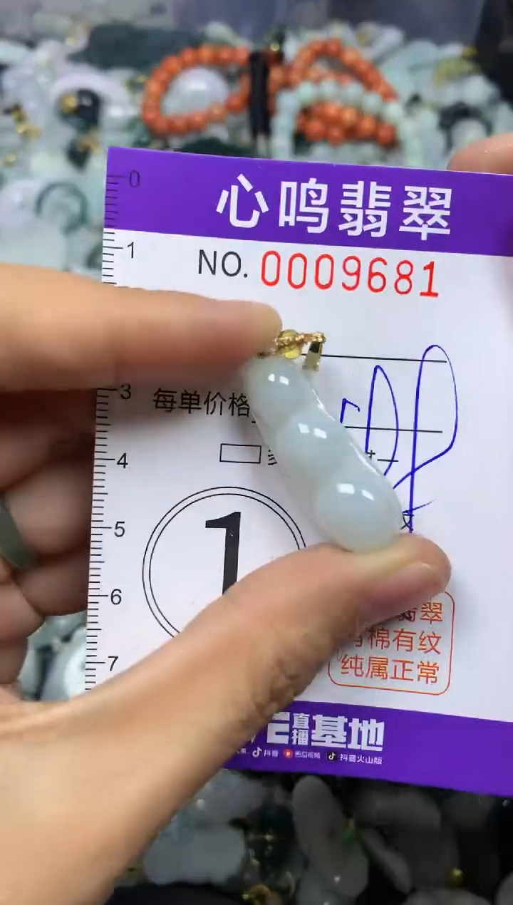 【闪购商品】翡翠颈饰未镶嵌闪购009681