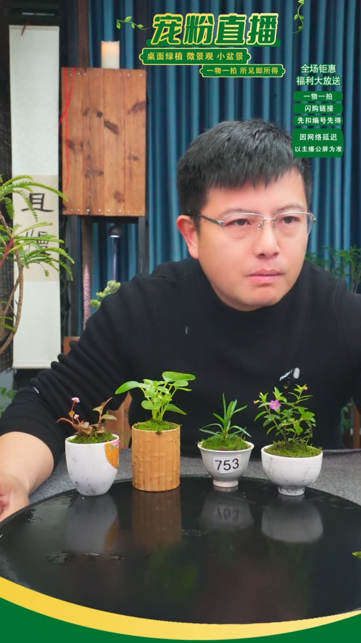 无花朵苔藓微景观753号