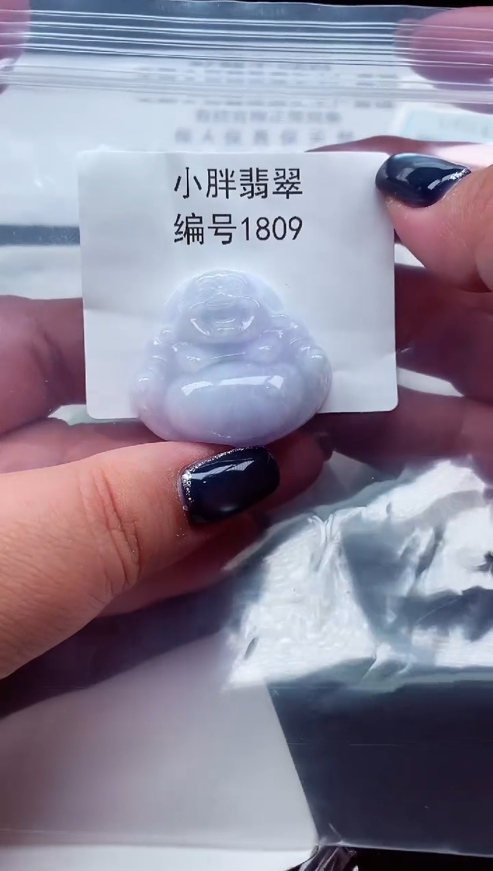 颈饰未镶嵌翡翠缅甸天然A货翡翠1809