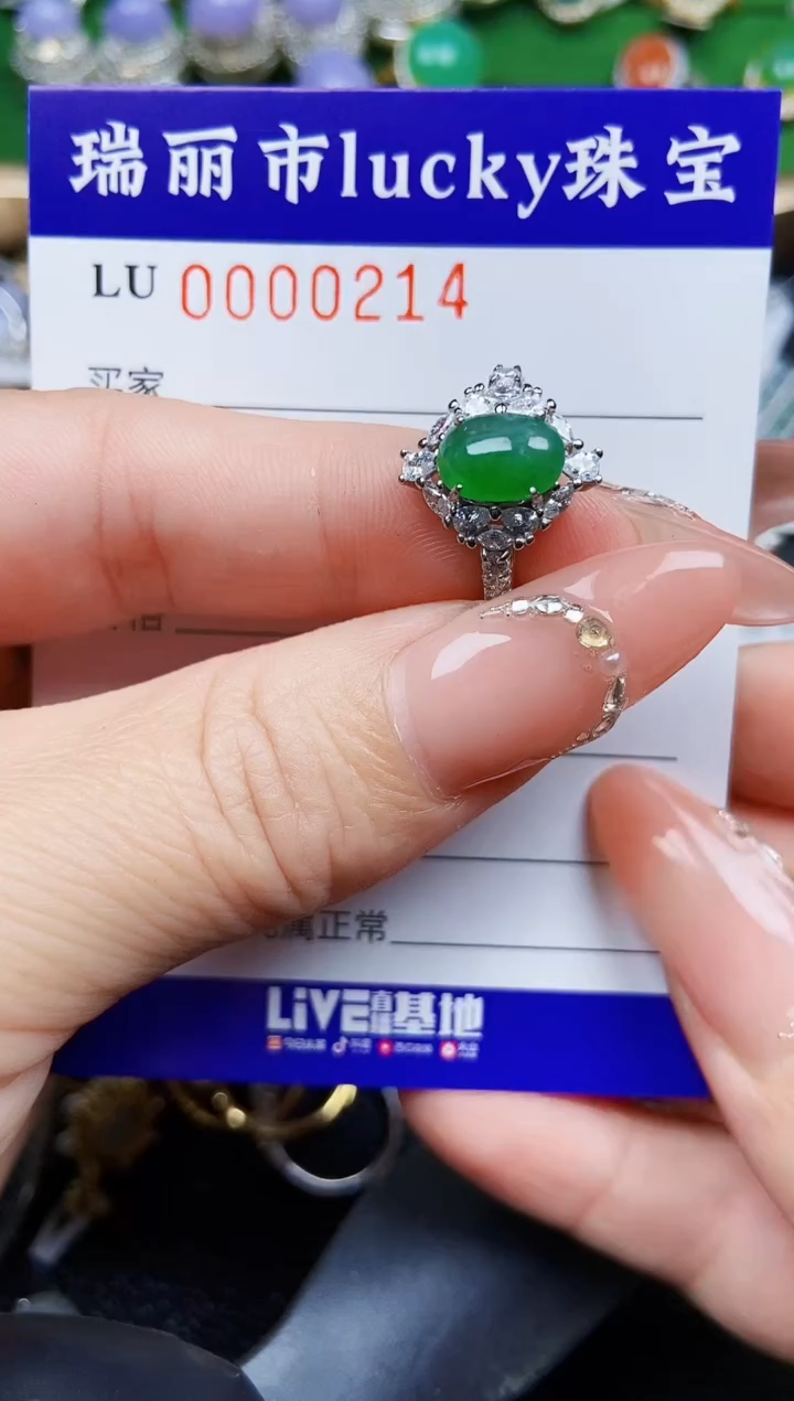 【闪购商品】翡翠颈饰银S925镶嵌0214