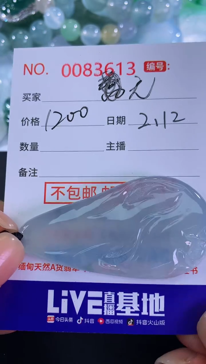 【闪购商品】翡翠颈饰未镶嵌无