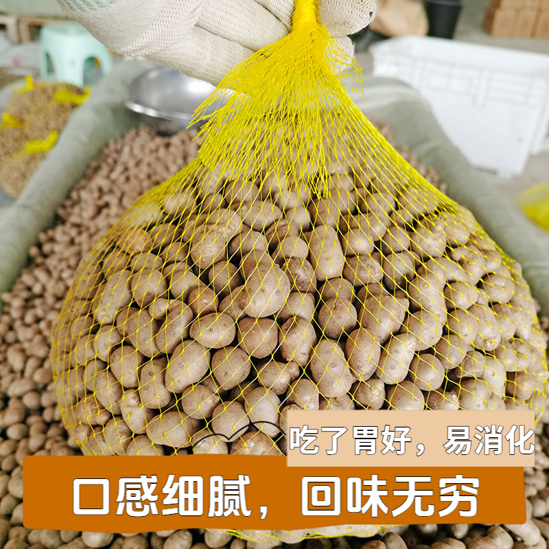 新鲜山药豆中大号冰糖葫芦白玉山药糯面营养山东产地直销铁棍山药