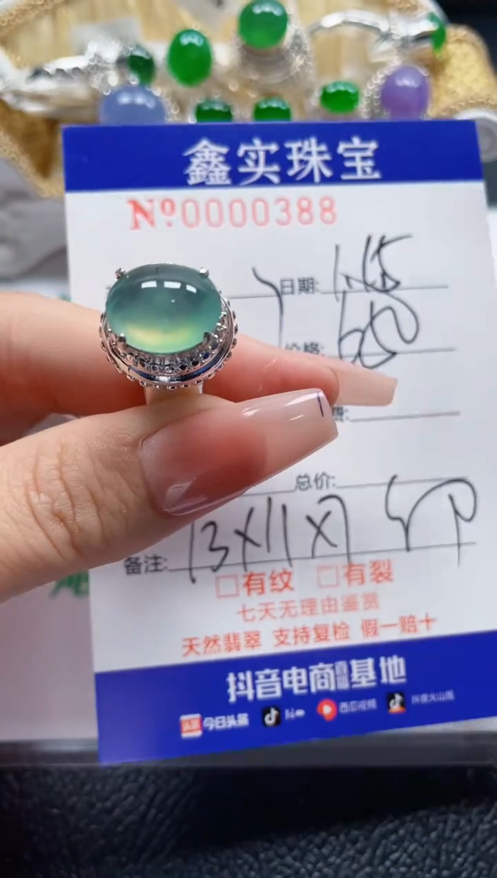 【闪购商品】翡翠颈饰未镶嵌/03880000