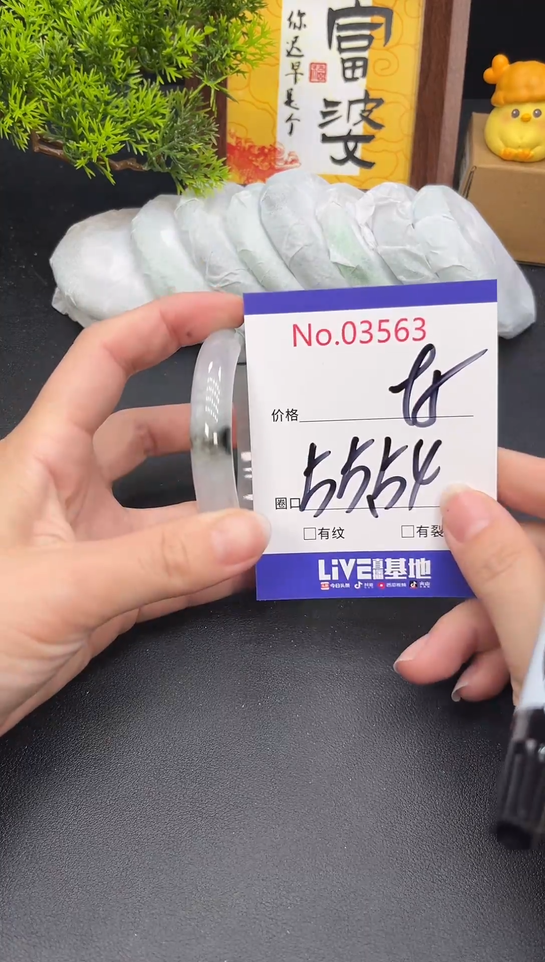 未镶嵌手镯翡翠3563