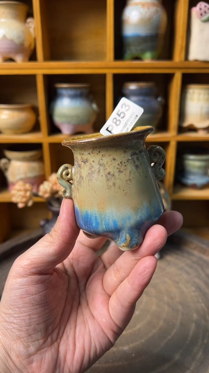 浅***念853【多肉花盆多肉盆】