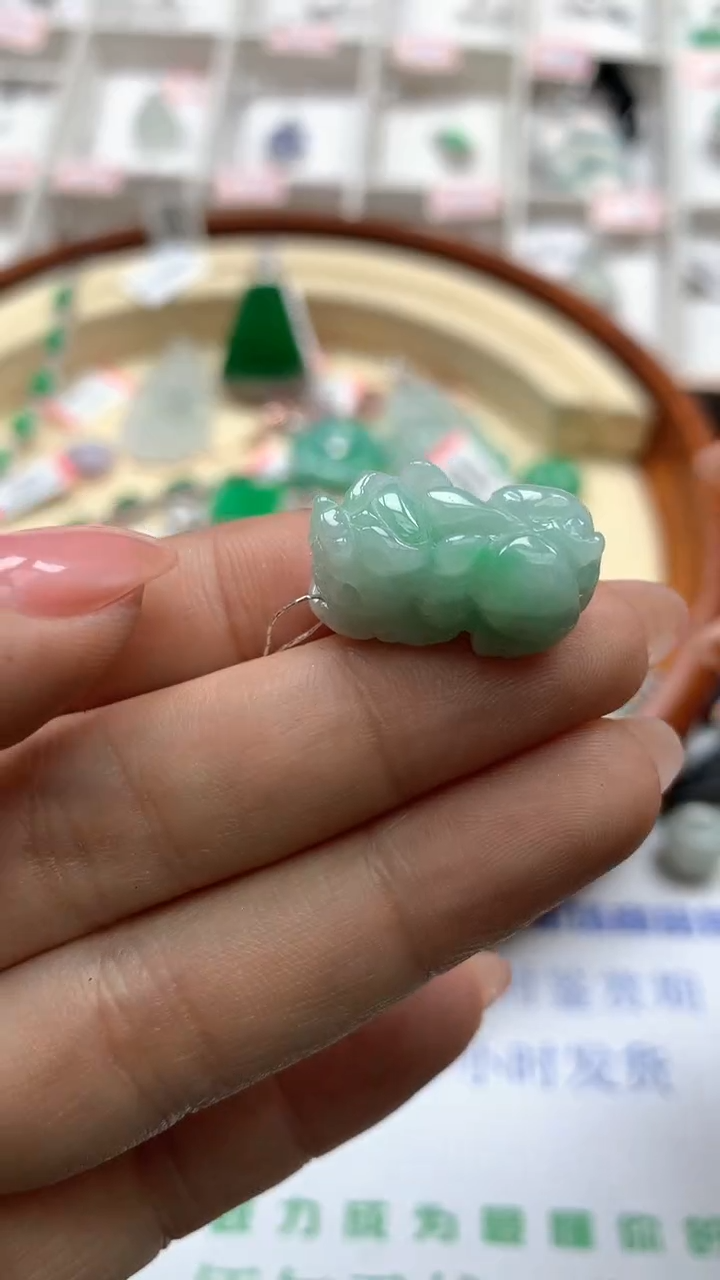 【闪购商品】翡翠颈饰未镶嵌貔貅