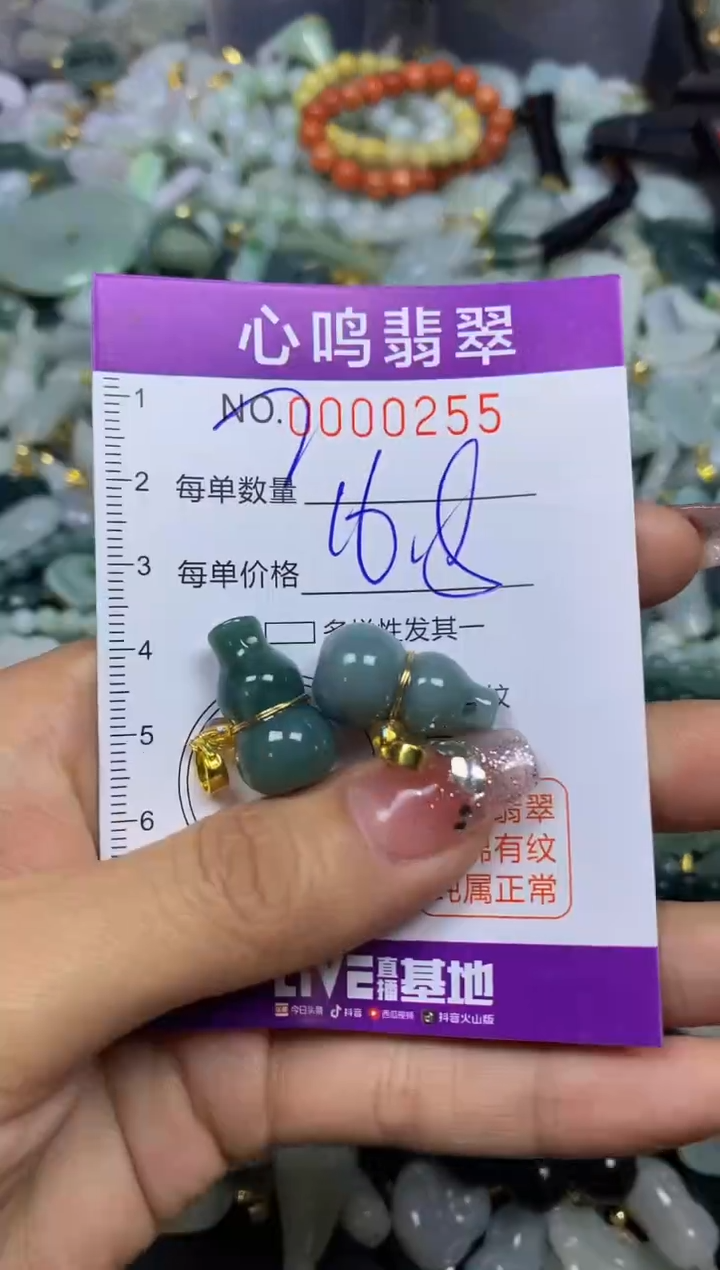 【闪购商品】翡翠颈饰未镶嵌闪购00255