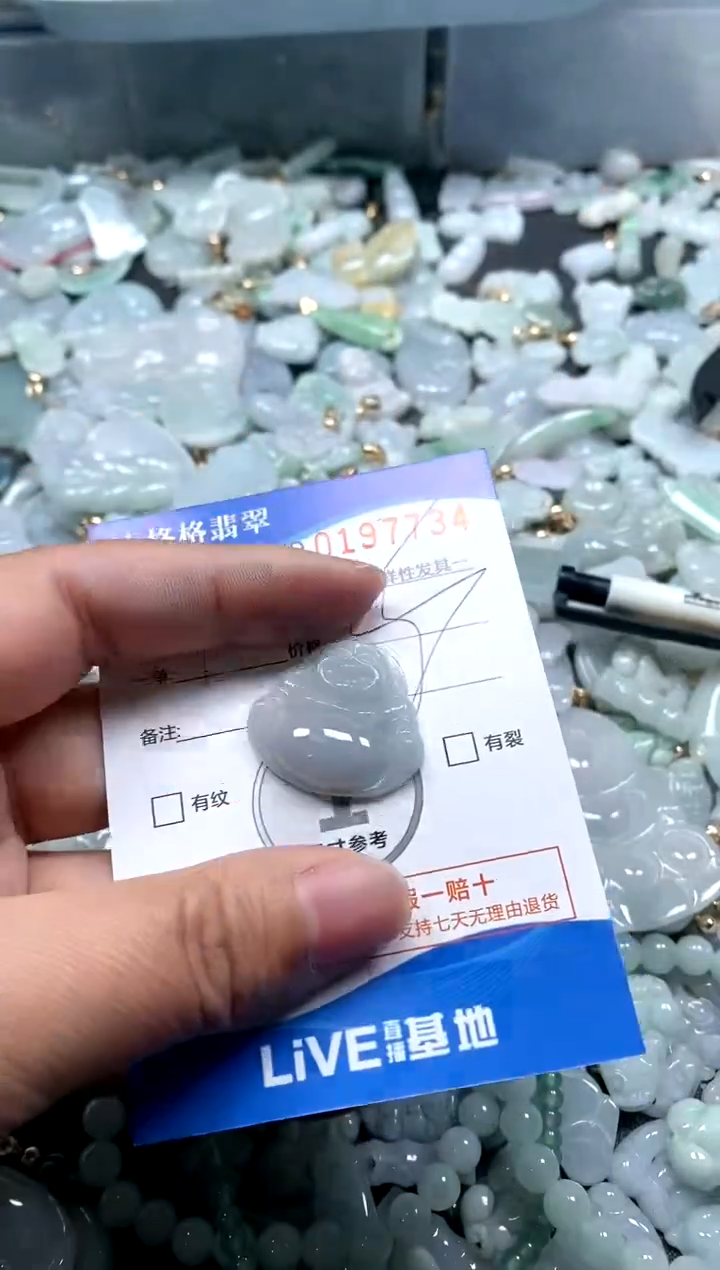 【闪购商品】翡翠颈饰未镶嵌闪购商品0197734