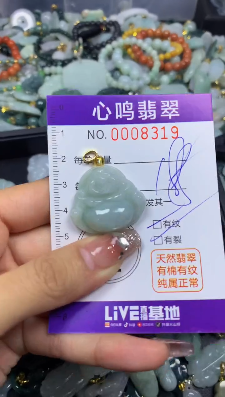 【闪购商品】翡翠颈饰未镶嵌闪购008319