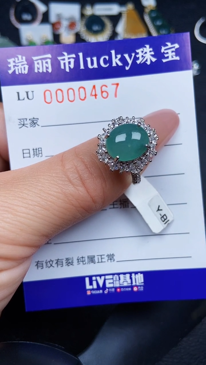 翡翠银S925镶嵌颈饰0467