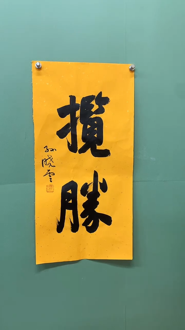 竖款精品书法，揽胜