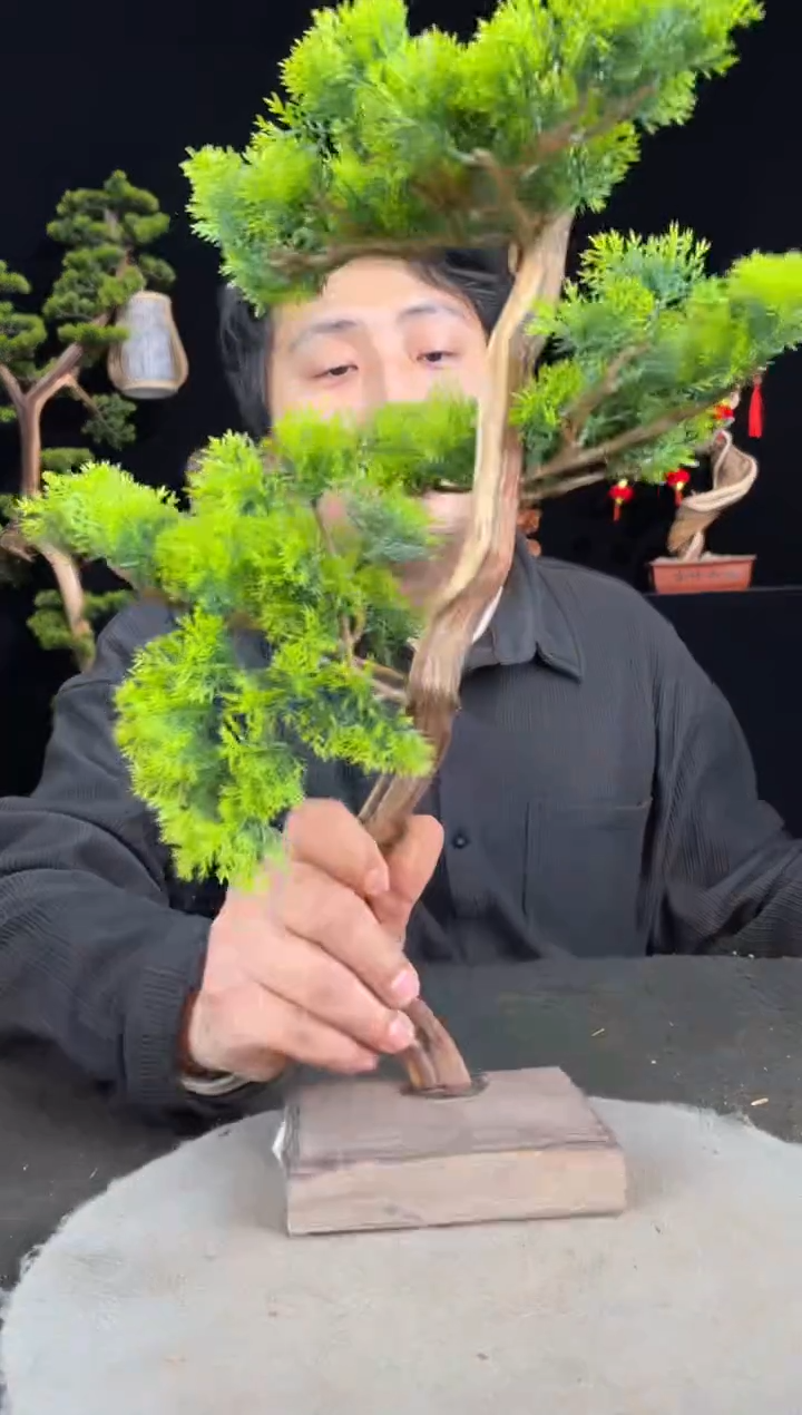 【闪购商品】柏木（崖柏）其他手工摆件,先抢先得!