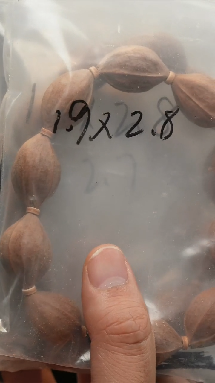 橄榄核手串/手链1.9-2.8铁素核